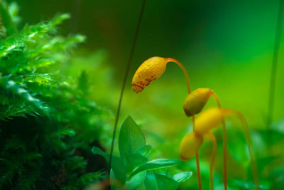 �����m�zӰ�� Aleksei Boiko ��