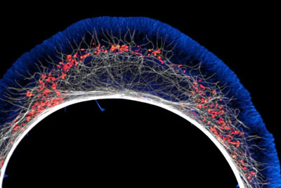 �Ƿ����������^��2024���῵��С�����@΢�zӰ��ِ���@����Ʒ���p